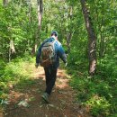 덕절산생태공원 이미지