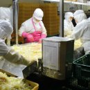 농업회사법인 (주)모아 이미지