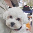 올리스24(세종점) 이미지