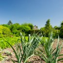 일등유통 이미지