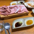 밍크고래와 참다랑어 이미지