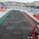 MS복싱아카데미 이미지