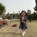 씨앤피(C&P) 이미지