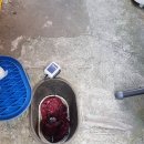 유강ENG | 포항누수 해도동 주택 유강 수도 누수 깊이 2M