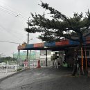 백송짜글짜글 이미지