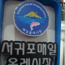 마실디
