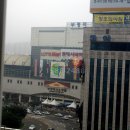 파레스빌 이미지