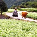 달사과마을 이미지