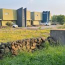 제주스럼 이미지