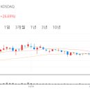 에스와이플렉스