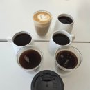 진주커피&허브차