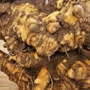 백년공인중개사사무소 이미지