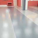 댕댕댕 애견유치원 이미지