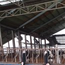 상봉목장 이미지