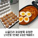 방목 - 성북구 동소문로2길 21 | 난각번호 1번 계란 시골다리 자유방목 유정란 택배 후기