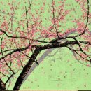 별밤미술관 in 첨단 이미지