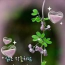 🌻 김혜자 900평 집 사람들이 공원으로 착각해 이미지