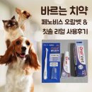 덴탈웨이 | 강아지 치석 제거 고민 끝! 바르는 치약 페노비스 오랄벳 &amp; 칫솔 리얼 사용후기