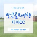 타이골프투어 | 태국 방콕 타이CC 프리미엄 골프여행 후기 완벽한 라운딩