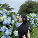 경숙농장 이미지