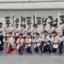 티앤티태권도장 이미지