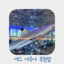 에스 | 🐠 부천 옥길동 물고기카페, 에스아쿠아 앤 카페 (내돈내산 후기)