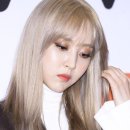 도도코스메틱 이미지