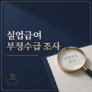 실업급여 부정수급 조사 후기 자주 하는 실수