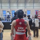 엘리트 복싱 Gym 이미지