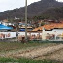 고향산천 Daum카페