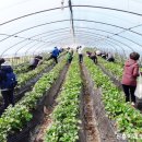 진훈 농장 이미지