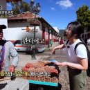 토라스