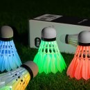 배드민턴(야간) 이미지