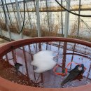 영양군농업기술센터 이미지