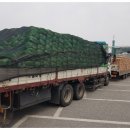 강릉푸드뱅크 이미지