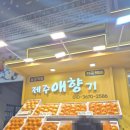 제주애향기