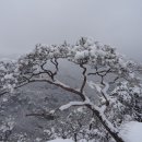 둔포농협주유소 이미지