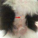 마리동물병원 이미지