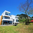 제주 산방산 암벽식물지대 이미지