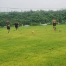 사회적협동조합팀플레이