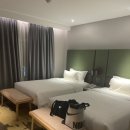 가방위에 고양이 이미지