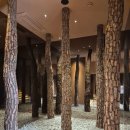 곰소그린 | 씨드그린 베이커리 카페 화담숲 입장전 대기하기 좋은곳