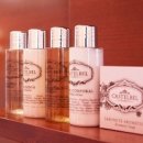 클럽아이리스 이미지