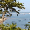 곰섬 바다 펜션 이미지