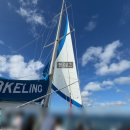 하와이 | 하와이 거북이 스노클링 투어 하와이몰 내돈내산 후기