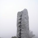 미천골약초