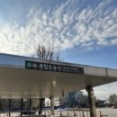 오션워터월드 2분거리 신영펜션 | [홍천] 비발디파크 스키장 : 스키장 준비물, 셔틀버스, 스키 첫 도전, 주변 맛집