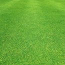 그린 실내 골프연습장 이미지