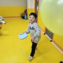 당리태권도 이미지