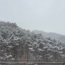 애일당 이미지